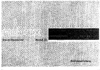 Revox Model-40-Owners-Manual 